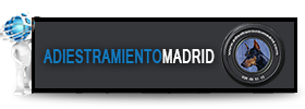 Adiestramiento Madrid