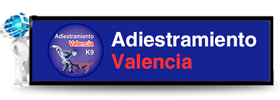 Adiestramiento Perros Valencia